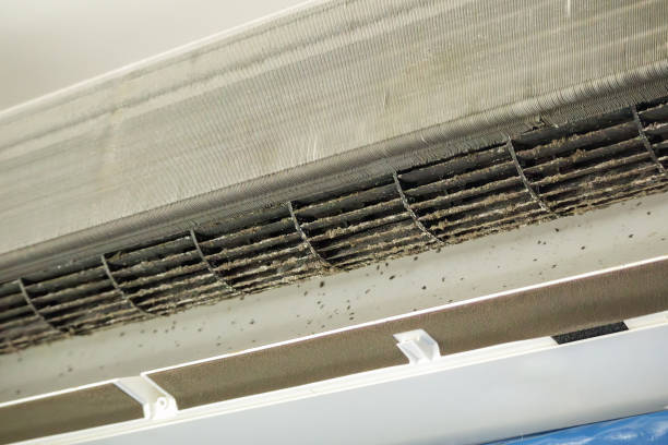 Best Air Duct Cleaning Near Me  in Virden, IL